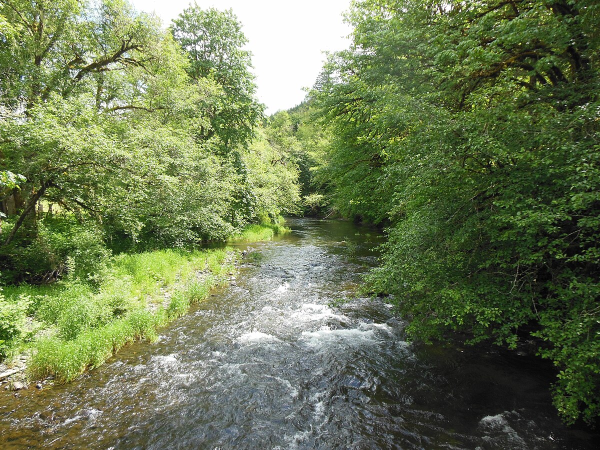 Alsea River