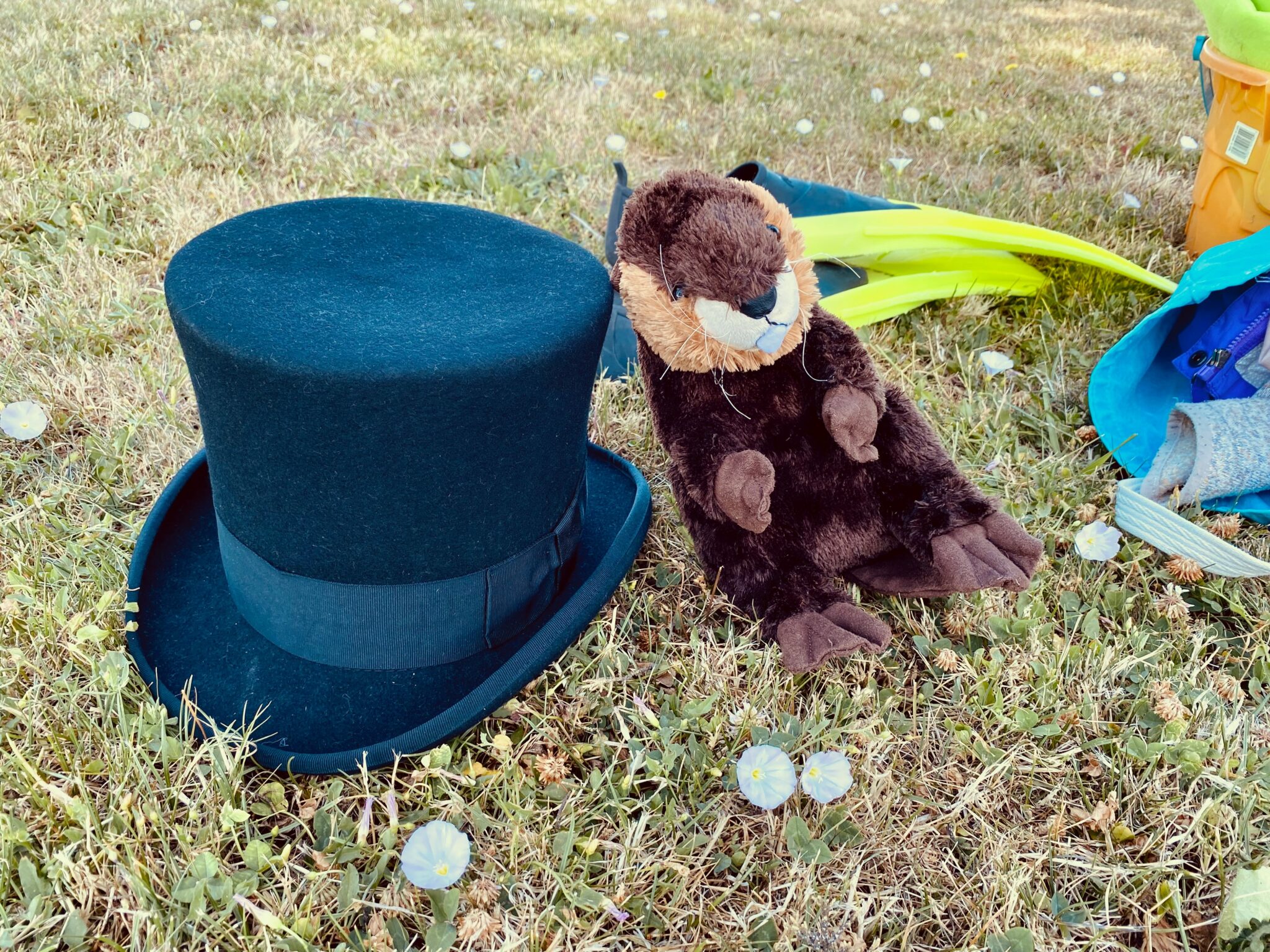 beaver and tophat