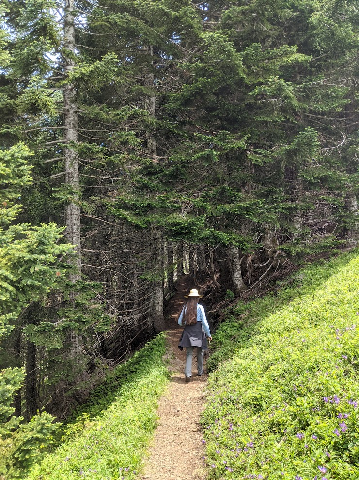 marys peak hike