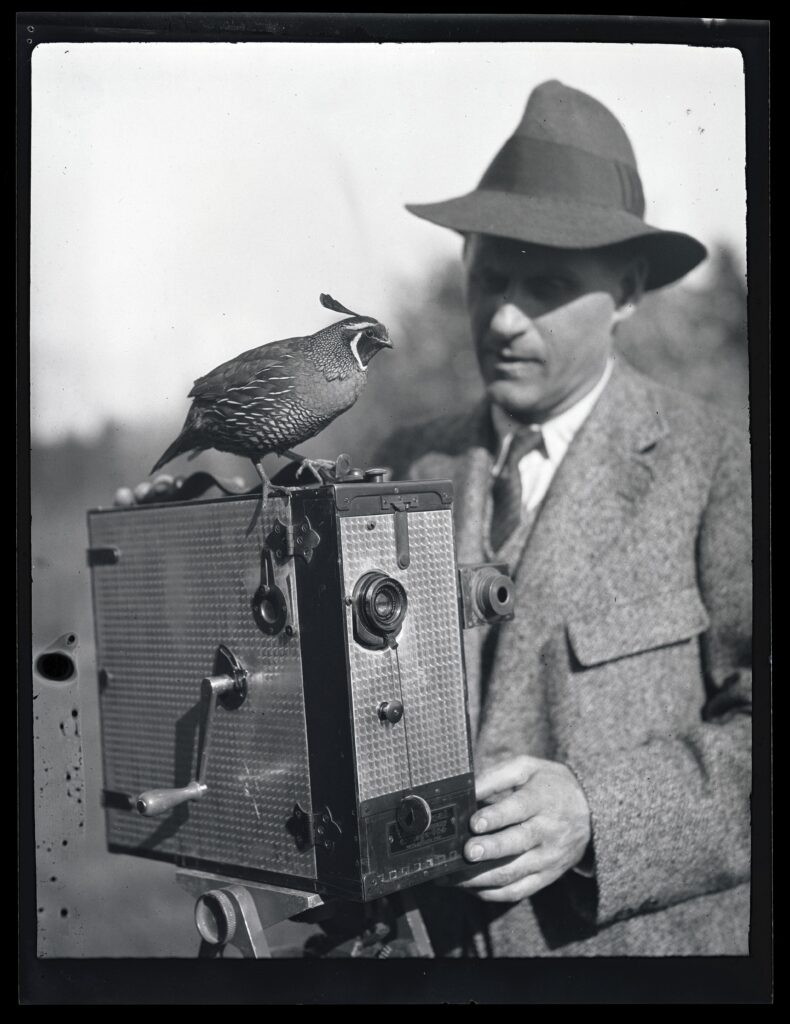 Black and white photo of William L Finley with box camera and a bird perched atop his camera